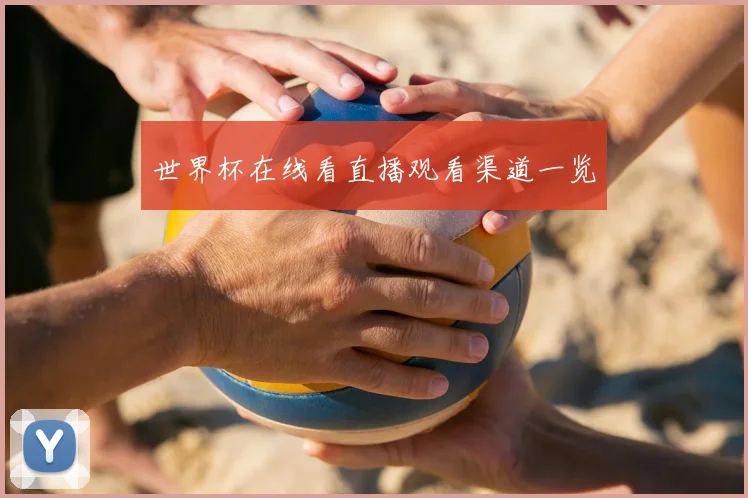世界杯在线看直播观看渠道一览