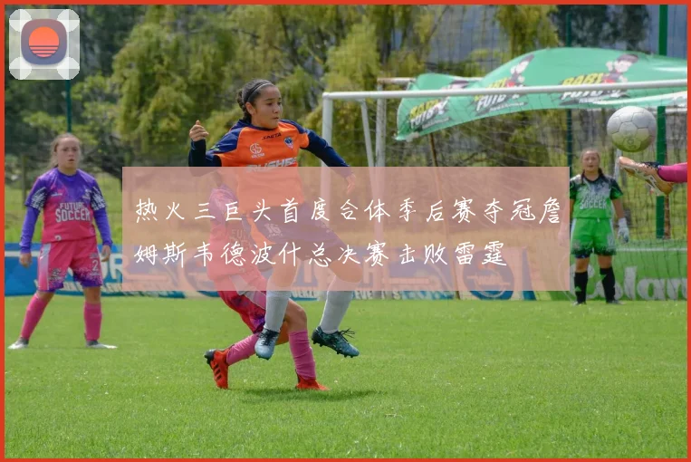 热火三巨头首度合体季后赛夺冠詹姆斯韦德波什总决赛击败雷霆
